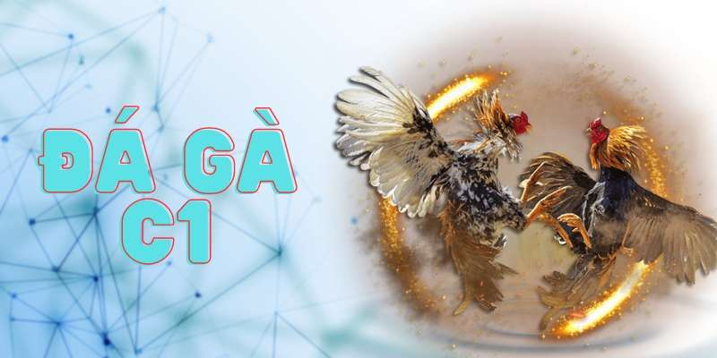 Thông tin quan trọng cần nhớ với đá gà C1